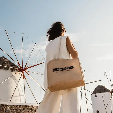 Nammos Mykonos 酒店